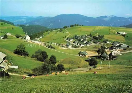 AK / Ansichtskarte  Hofsgrund_Oberried_Schauinsland Panorama