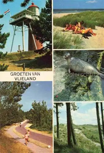 AK / Ansichtskarte  Vlieland_Friesland_NL Leuchtturm Restaurant Strandpartie Waldweg Robbe