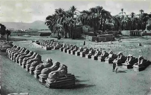 AK / Ansichtskarte  Karnak_Egypt The Avenue of Sphinxes