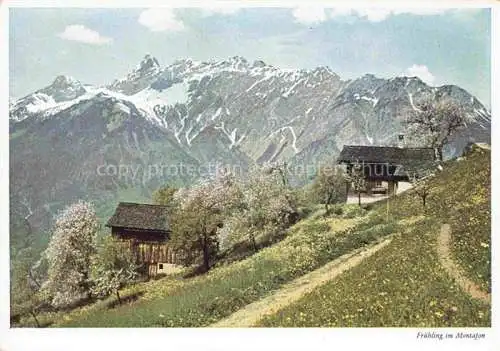 AK / Ansichtskarte  Zimba_2645m_Raetikon_Vorarlberg_AT Vandanser Steinwand Panorama