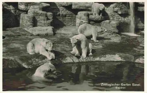 AK / Ansichtskarte  Zoo_Gardin_Zoologique-- Basel Eisbaeren