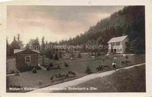 AK / Ansichtskarte  Bodenbach__Elbe-Tetschen_DECIN_Boehmen_Ustecky_Kraj_CZ Wildpark Waldrestaurant Immenheim