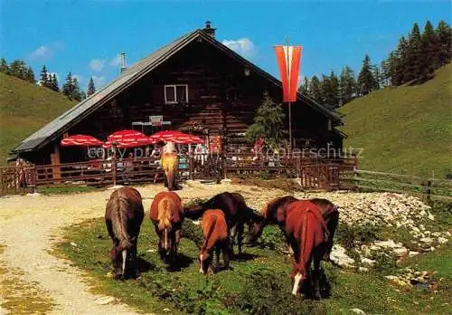 AK / Ansichtskarte  Strobl_Wolfgangsee_AT Jausenstation Seeblick Terrasse Pferde