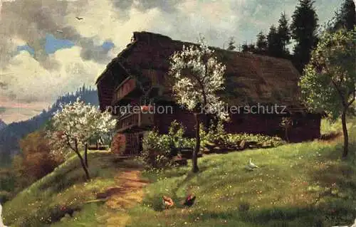 AK / Ansichtskarte  Hoffmann__Heinrich_Kuenstlerkarte_Sueddeutschland_Alsace Fruehling in Schwarzwald 