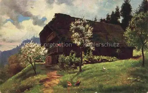 AK / Ansichtskarte  Hoffmann__Heinrich_Kuenstlerkarte_Sueddeutschland_Alsace Fruehling im Schwarzwald