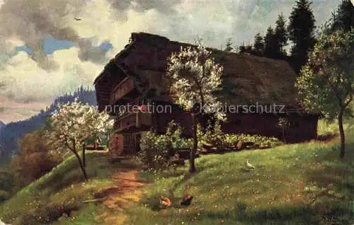 AK / Ansichtskarte  Hoffmann__Heinrich_Kuenstlerkarte_Sueddeutschland_Alsace Fruehling in Schwarzwald