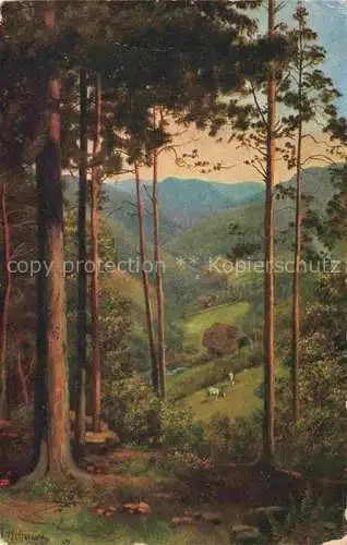 AK / Ansichtskarte  Hoffmann__Heinrich_Kuenstlerkarte_Sueddeutschland_Alsace Durchblick ins Tal