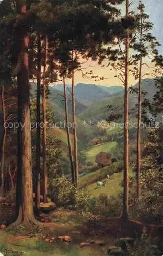 AK / Ansichtskarte  Hoffmann__Heinrich_Kuenstlerkarte_Sueddeutschland_Alsace Durchblick ins Tal 