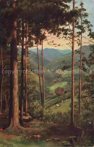 AK / Ansichtskarte  Hoffmann__Heinrich_Kuenstlerkarte_Sueddeutschland_Alsace Durchblick ins Tal