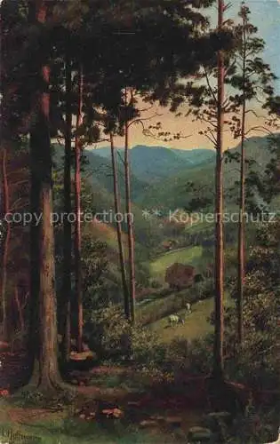 AK / Ansichtskarte  Hoffmann__Heinrich_Kuenstlerkarte_Sueddeutschland_Alsace Durchblick ins Tal