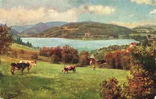 AK / Ansichtskarte  Hoffmann__Heinrich_Kuenstlerkarte_Sueddeutschland_Alsace Titisee mit Feldberg