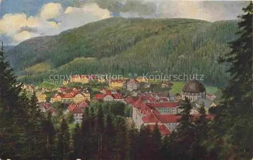 AK / Ansichtskarte  Hoffmann__Heinrich_Kuenstlerkarte_Sueddeutschland_Alsace St.Blasien