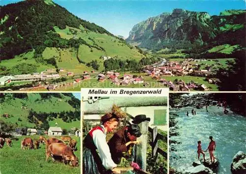 AK / Ansichtskarte  Mellau_Vorarlberg_AT Fliegeraufnahme Viehweide Brunnen Waldbad