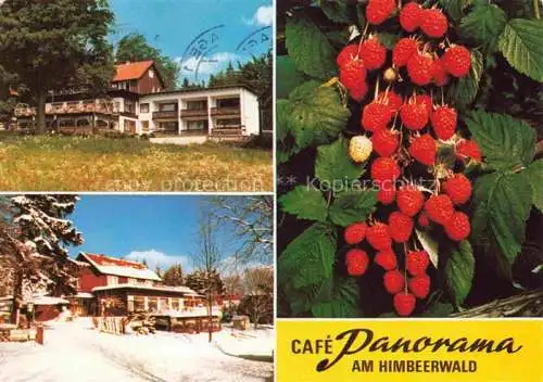 AK / Ansichtskarte  Braunlage Cafe Panorama Pension am Himbeerwald