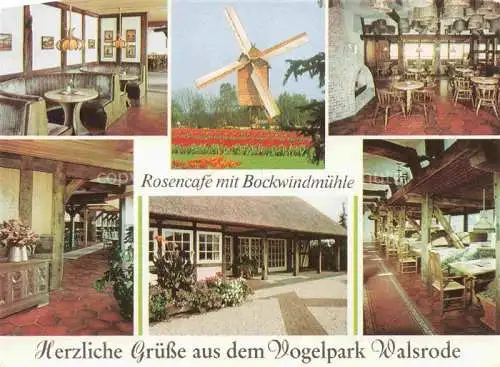 AK / Ansichtskarte  Walsrode_Lueneburger_Heide Rosencafe mit Bockwindmuehle Gastraeume Bar