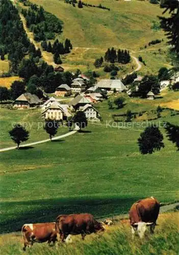 AK / Ansichtskarte  Bernau_Schwarzwald Ot Hof Panorama