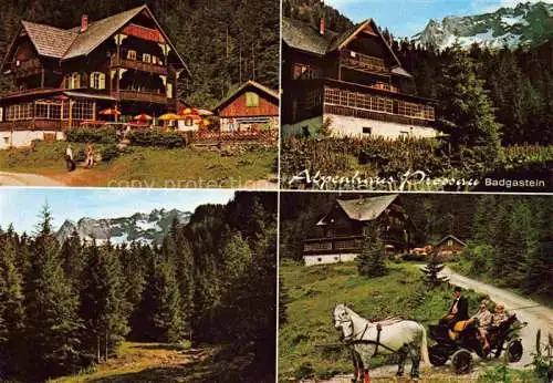 AK / Ansichtskarte  Badgastein_BAD_GASTEIN_Pinzgau_Pongau_AT Alpenhaus Prossau Waldpartie Pferdekutsche