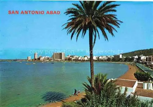 AK / Ansichtskarte  San_Antonio_Abad_Ibiza_ES Panorama