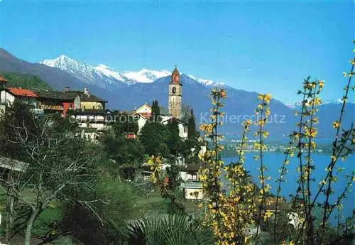 AK / Ansichtskarte  Ronco_Ascona_Locarno_Lago_Maggiore_TI Panorama