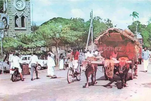 AK / Ansichtskarte  SRI_LANKA_Ceylon Bullock Cart