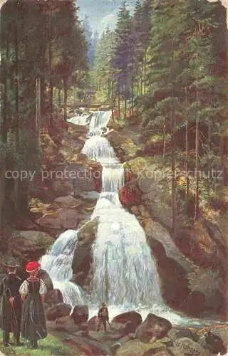 AK / Ansichtskarte  Hoffmann__Heinrich_Kuenstlerkarte_Sueddeutschland_Alsace Trieberg im Schwarzwald Wasserfall