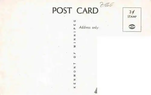 AK / Ansichtskarte  Ziege_Goat_Chevre-- Wald Schnee