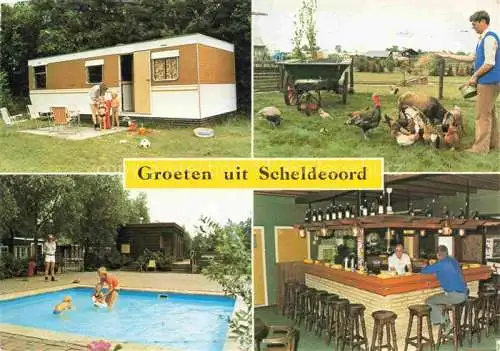 AK / Ansichtskarte  Baarland_Zeeland_NL Recreatiecentrum Scheldeoord Wohnwagen Gefluegelfuetterung Pool Bar