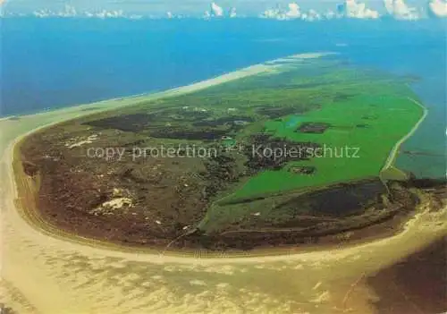 AK / Ansichtskarte  Schiermonnikoog_Friesland_NL Oase in de Wadden