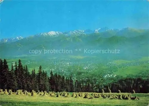 AK / Ansichtskarte  Zakopane_Tatra_PL Panorama Tatr ze szczytu Gubalowki