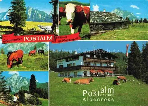 AK / Ansichtskarte  Strobl_Wolfgangsee_AT Postalm Gasthof Alpenrose Teilansichten