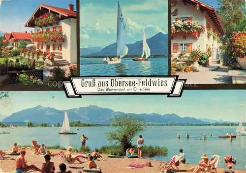 AK / Ansichtskarte  Feldwies_uebersee_Chiemsee Blumenpracht Segelsport Chiemseestrand