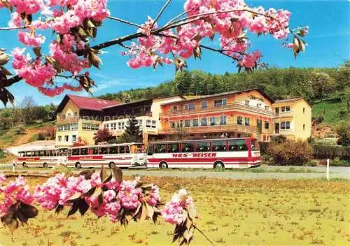 AK / Ansichtskarte  Reichelsheim_Odenwald Gasthaus Cafe Zum Hohenstein