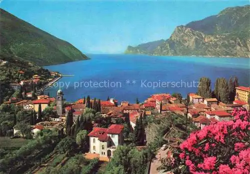 AK / Ansichtskarte  Torbole_Lago_di_Garda_IT Panorama