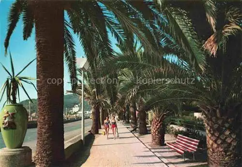 AK / Ansichtskarte  Diano_Marina_Liguria_IT Passeggiata delle Palme