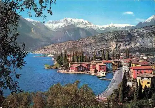 AK / Ansichtskarte  Torbole_Lago_di_Garda_IT Panorama