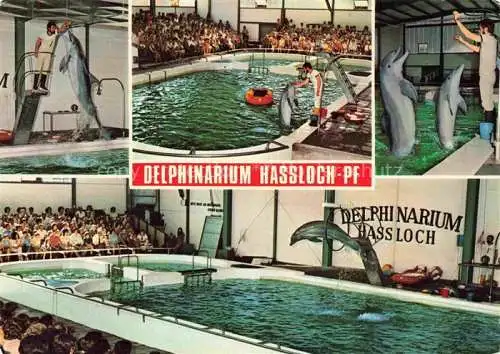 AK / Ansichtskarte  Hassloch_Pfalz Delphinarium Holiday Park Freizeit- und Unterhaltungspark