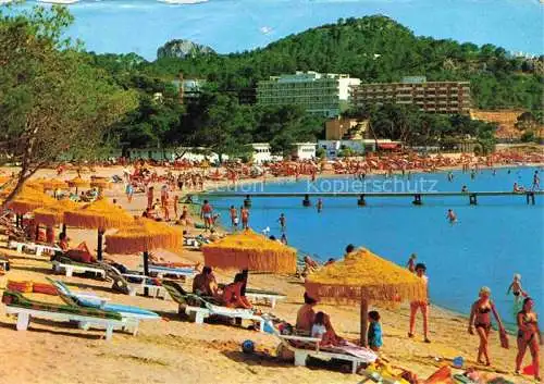 AK / Ansichtskarte  Santa_Ponsa_Mallorca_ES Strandleben