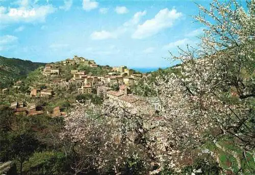 AK / Ansichtskarte  Deya_Mallorca_ES Almendros en flor