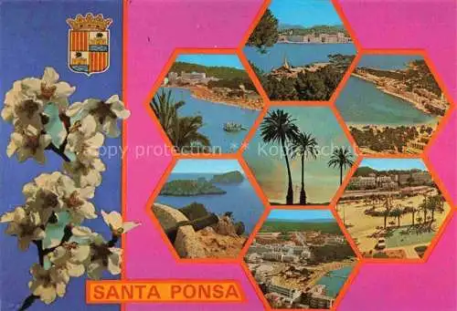 AK / Ansichtskarte  Santa_Ponsa_Mallorca_ES Teilansichten Palmen Baumbluete