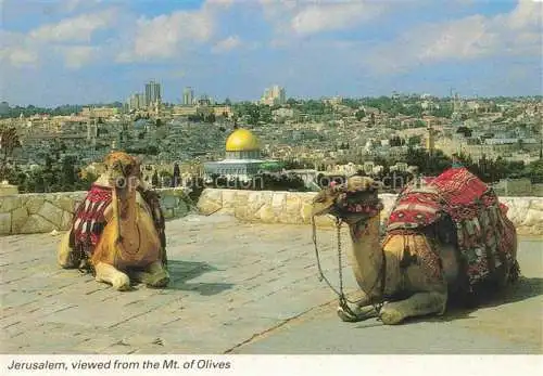 AK / Ansichtskarte  Jerusalem__Yerushalayim_Israel Old City from the Mt. of Olives