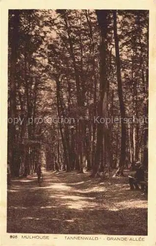 AK / Ansichtskarte  MULHOUSE_Muehlhausen_68_Alsace Tannenwald Grand Allee