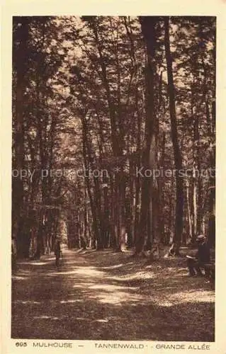 AK / Ansichtskarte  MULHOUSE_Muehlhausen_68_Alsace Tannenwald Grand Allee