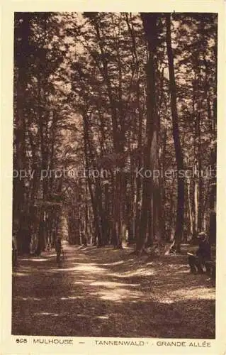 AK / Ansichtskarte  MULHOUSE_Muehlhausen_68_Alsace Tannenwald