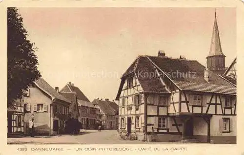 AK / Ansichtskarte  DANNEMARIE__Dammerkirch_Alsace_68_Haut-Rhin Un coin pittoresque Cafe de la Carpe