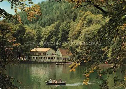 AK / Ansichtskarte  Isenach_BAD_DueRKHEIM_Rheinland-Pfalz Forellenhaus Isenach Restaurant Gondelteich