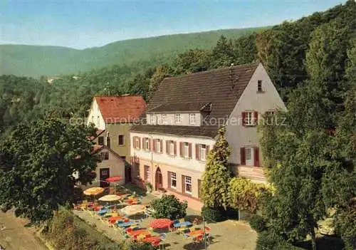 AK / Ansichtskarte  Hambach__Neustadt_Weinstrasse Hotel Waldschloessel