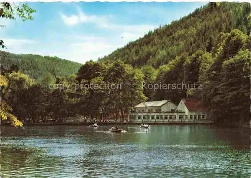 AK / Ansichtskarte  Isenach_BAD_DueRKHEIM_Rheinland-Pfalz Forellenhaus Isenach Restaurant Gondelteich