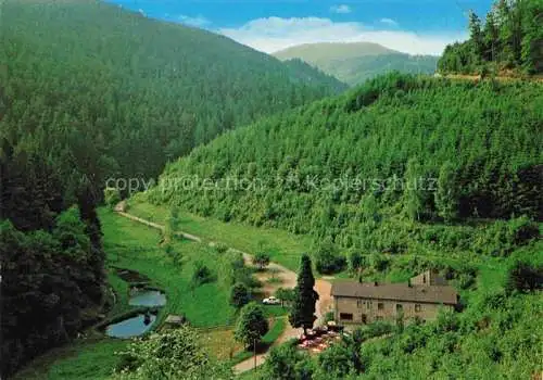 AK / Ansichtskarte  Hornesselwiese Panorama Gasthaus Pension Zum stillen Tal