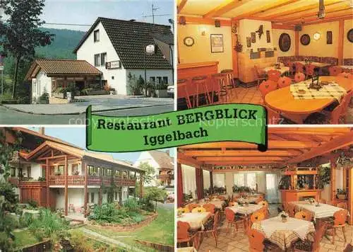 AK / Ansichtskarte  Iggelbach Restaurant Bergblick Gastraeume Garten