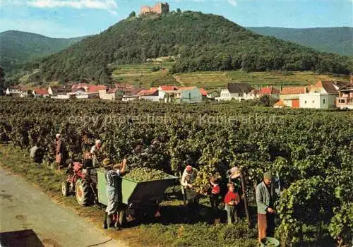 AK / Ansichtskarte  Hambach__Neustadt_Weinstrasse Weinlese mit Hambacher Schloss